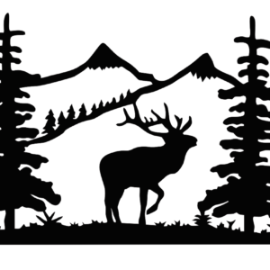 Mountain Elk